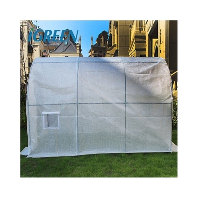 Customizable Agricultural Equipment Mini Plastic Plant Greenhouses Single Layer