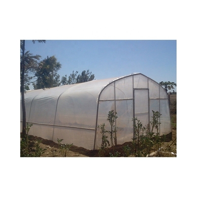 200micron Plastic Film Greenhouse Simple Installation For Home Gardening