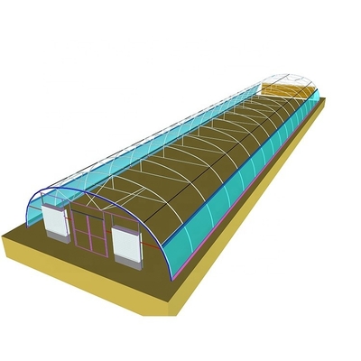 200 Micron Plastic Sheeting Greenhouse Customizable For Gulf Countries