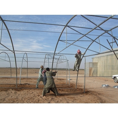 200 Micron Plastic Sheeting Greenhouse Customizable For Gulf Countries