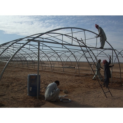 200 Micron Plastic Sheeting Greenhouse Customizable For Gulf Countries