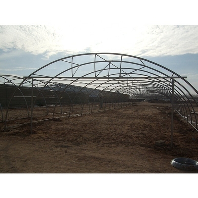 200 Micron Plastic Sheeting Greenhouse Customizable For Gulf Countries