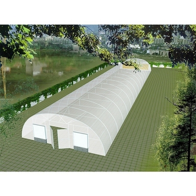 200 Micron Plastic Sheeting Greenhouse Customizable For Gulf Countries