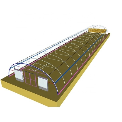 200 Micron Plastic Sheeting Greenhouse Customizable For Gulf Countries