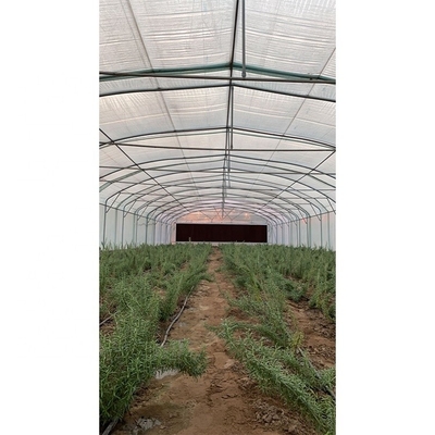 200 Micron Single Span Greenhouse High Capacity Plastic Film Greenhouse