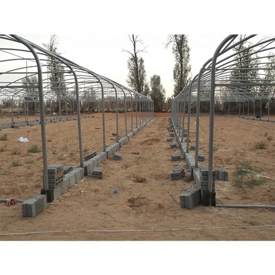 3.3m Height Single Span Greenhouse Vegetable Growing Greenhouse With Hydroponic Systems