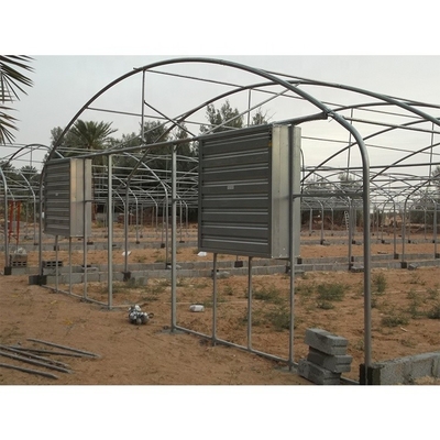 3.3m Height Single Span Greenhouse Vegetable Growing Greenhouse With Hydroponic Systems