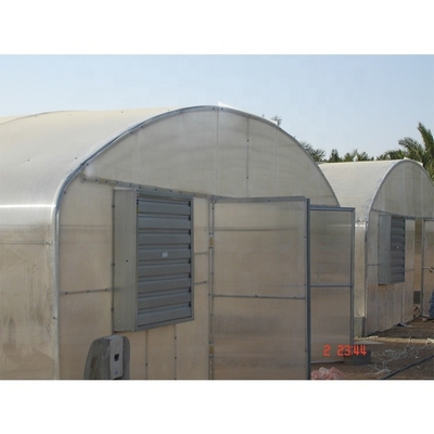 3.3m Height Single Span Greenhouse Vegetable Growing Greenhouse With Hydroponic Systems