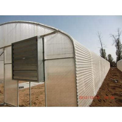 3.3m Height Single Span Greenhouse Vegetable Growing Greenhouse With Hydroponic Systems