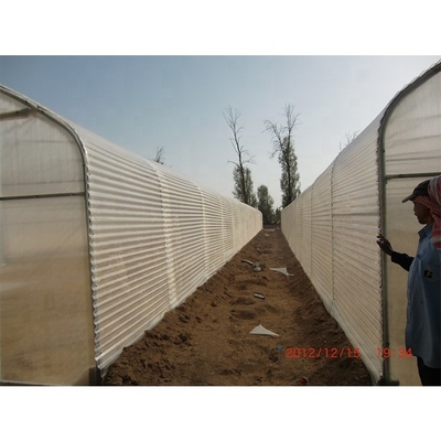 3.3m Height Single Span Greenhouse Vegetable Growing Greenhouse With Hydroponic Systems