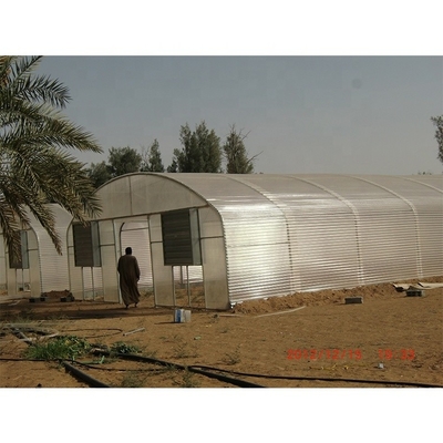 3.3m Height Single Span Greenhouse Vegetable Growing Greenhouse With Hydroponic Systems