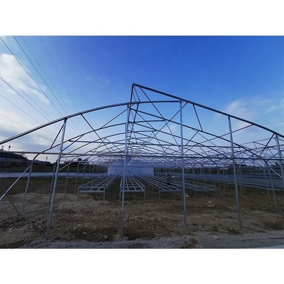 Customizable Metal Pipe Frame Greenhouse With 200micron Plastic Film