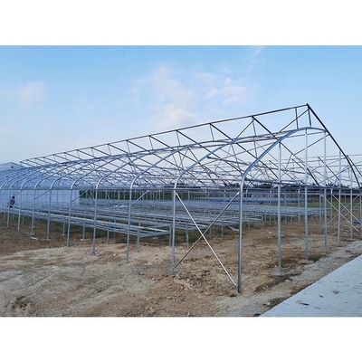Customizable Metal Pipe Frame Greenhouse With 200micron Plastic Film