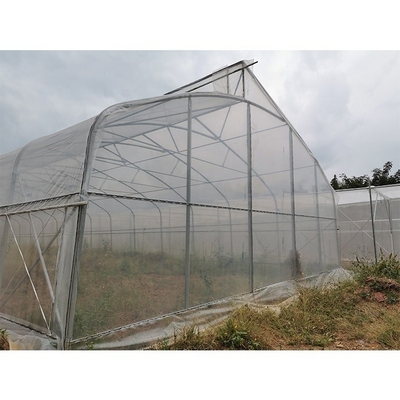 Customizable Metal Pipe Frame Greenhouse With 200micron Plastic Film