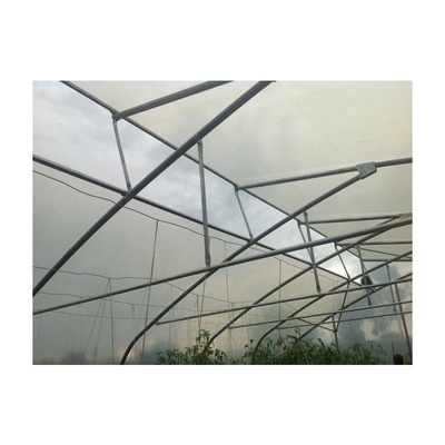 Customizable Metal Pipe Frame Greenhouse With 200micron Plastic Film