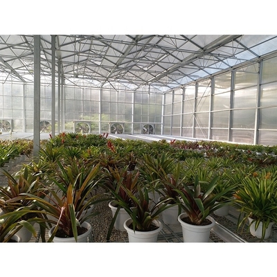 Clear Plastic Polycarbonate Roof Greenhouse For Flower And Vegetable Cultivation