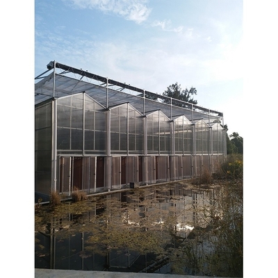 Clear Plastic Polycarbonate Roof Greenhouse For Flower And Vegetable Cultivation