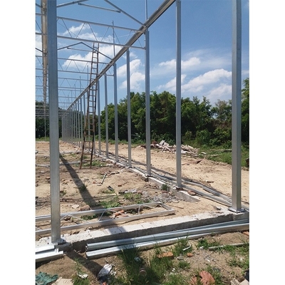 Clear Plastic Polycarbonate Roof Greenhouse For Flower And Vegetable Cultivation
