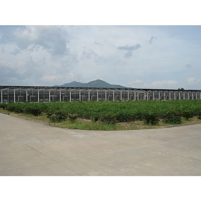 Clear Plastic Polycarbonate Roof Greenhouse For Flower And Vegetable Cultivation