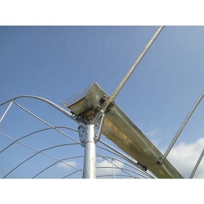 Film Cover Multi Span Greenhouse 5m Roof Height For Vegetables And Fruits