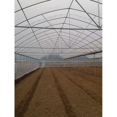 Film Cover Multi Span Greenhouse 5m Roof Height For Vegetables And Fruits