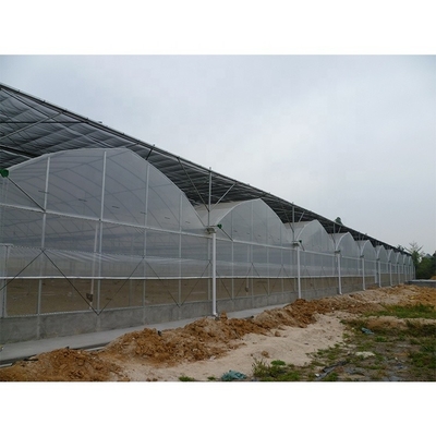 Multi Span Plastic Tunnel Greenhouse For Flower And Vegetable Hydroponic