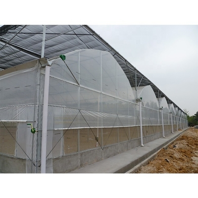 Multi Span Plastic Tunnel Greenhouse For Flower And Vegetable Hydroponic