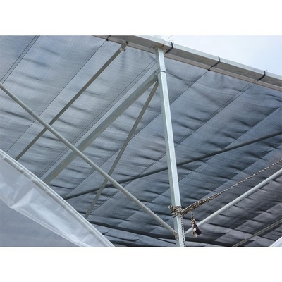 Multi Span Plastic Tunnel Greenhouse For Flower And Vegetable Hydroponic