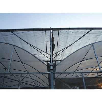 Multi Span Plastic Tunnel Greenhouse For Flower And Vegetable Hydroponic