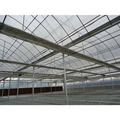 Multi Span Plastic Tunnel Greenhouse For Flower And Vegetable Hydroponic