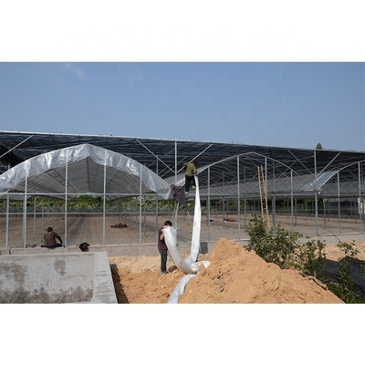 Multi Span Plastic Tunnel Greenhouse For Flower And Vegetable Hydroponic