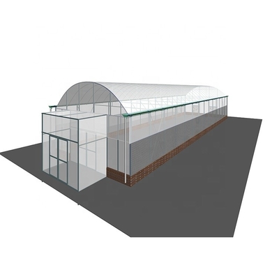 150 Micron Multi Tunnel Greenhouse Plastic Film Covering For Plants Growing