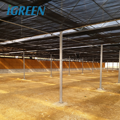 150 Micron Multi Tunnel Greenhouse Plastic Film Covering For Plants Growing