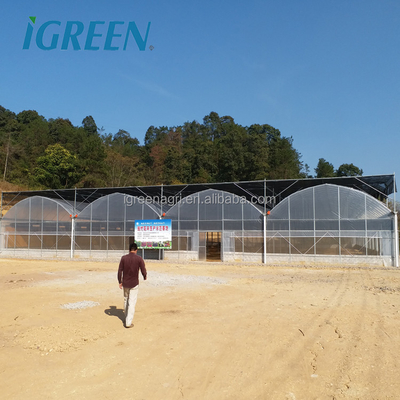 150 Micron Multi Tunnel Greenhouse Plastic Film Covering For Plants Growing