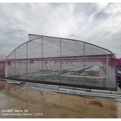 UV Proof Greenhouse Hydroponics System Vegetables Growing Deep Water Culture System