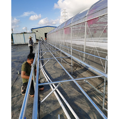 UV Proof Greenhouse Hydroponics System Vegetables Growing Deep Water Culture System