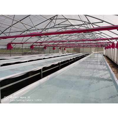 UV Proof Greenhouse Hydroponics System Vegetables Growing Deep Water Culture System
