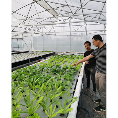 UV Proof Greenhouse Hydroponics System Vegetables Growing Deep Water Culture System