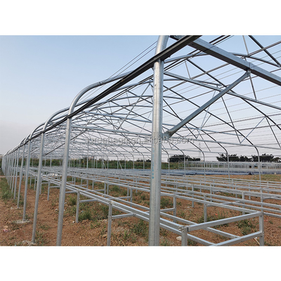 Roof Height 6.5m Wrought Iron Greenhouse For Flowers And Vegetables