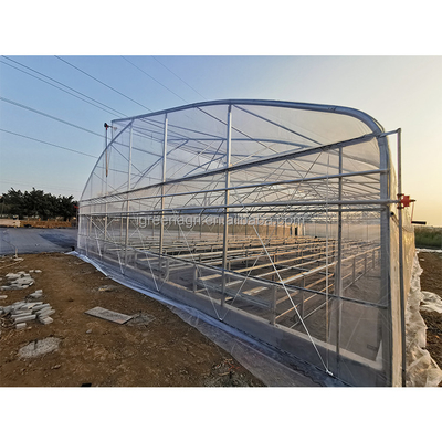 Roof Height 6.5m Wrought Iron Greenhouse For Flowers And Vegetables