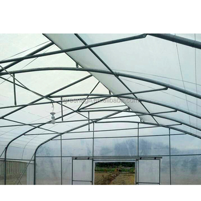 Roof Height 6.5m Wrought Iron Greenhouse For Flowers And Vegetables