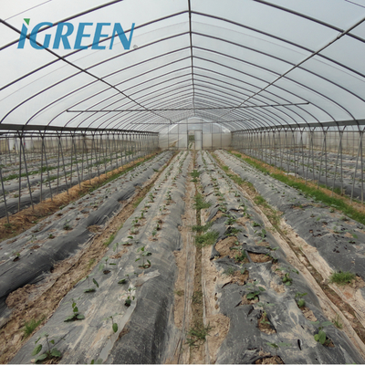 Large IGreen Agricultural Greenhouses Materials Shade Cloth Greenhouse with No Roof Vent
