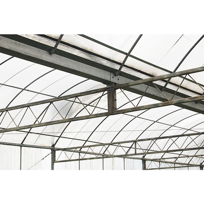 12-15 Meter Tunnel Width IGREEN Large Multi-Span Plastic Greenhouse for Plant Farming