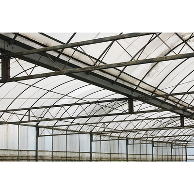 Film Surface Insulated Greenhouse Kits For Flowers And Vegetables Growing
