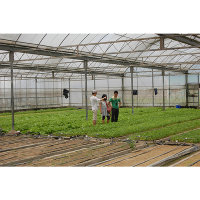 12-15 Meter Tunnel Width IGREEN Large Multi-Span Plastic Greenhouse for Plant Farming