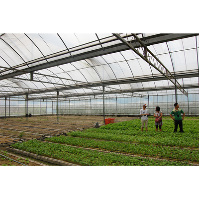 Vegetables Growing Multi Span Greenhouse PE Plastic Cover Tomato Plant Greenhouse