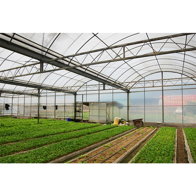 Vegetables Growing Multi Span Greenhouse PE Plastic Cover Tomato Plant Greenhouse