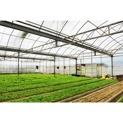 12-15 Meter Tunnel Width IGREEN Large Multi-Span Plastic Greenhouse for Plant Farming