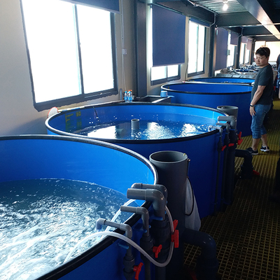 Galvanized Steel Pipe Circular RAS Fish Tank 10 Meter Fresh Water Automatic Feeding