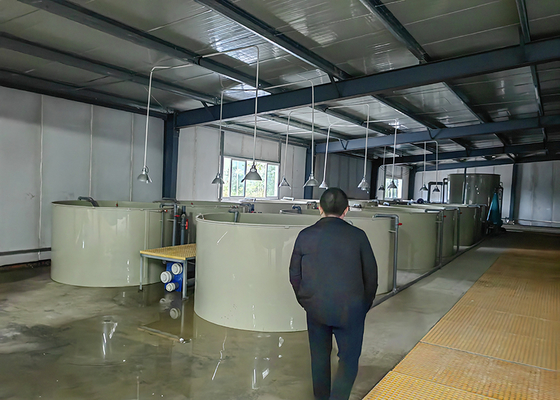 30m Diameter Recirculating Aquaculture System Fish Pond RAS Farming Aquaculture